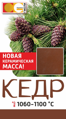 Кедр